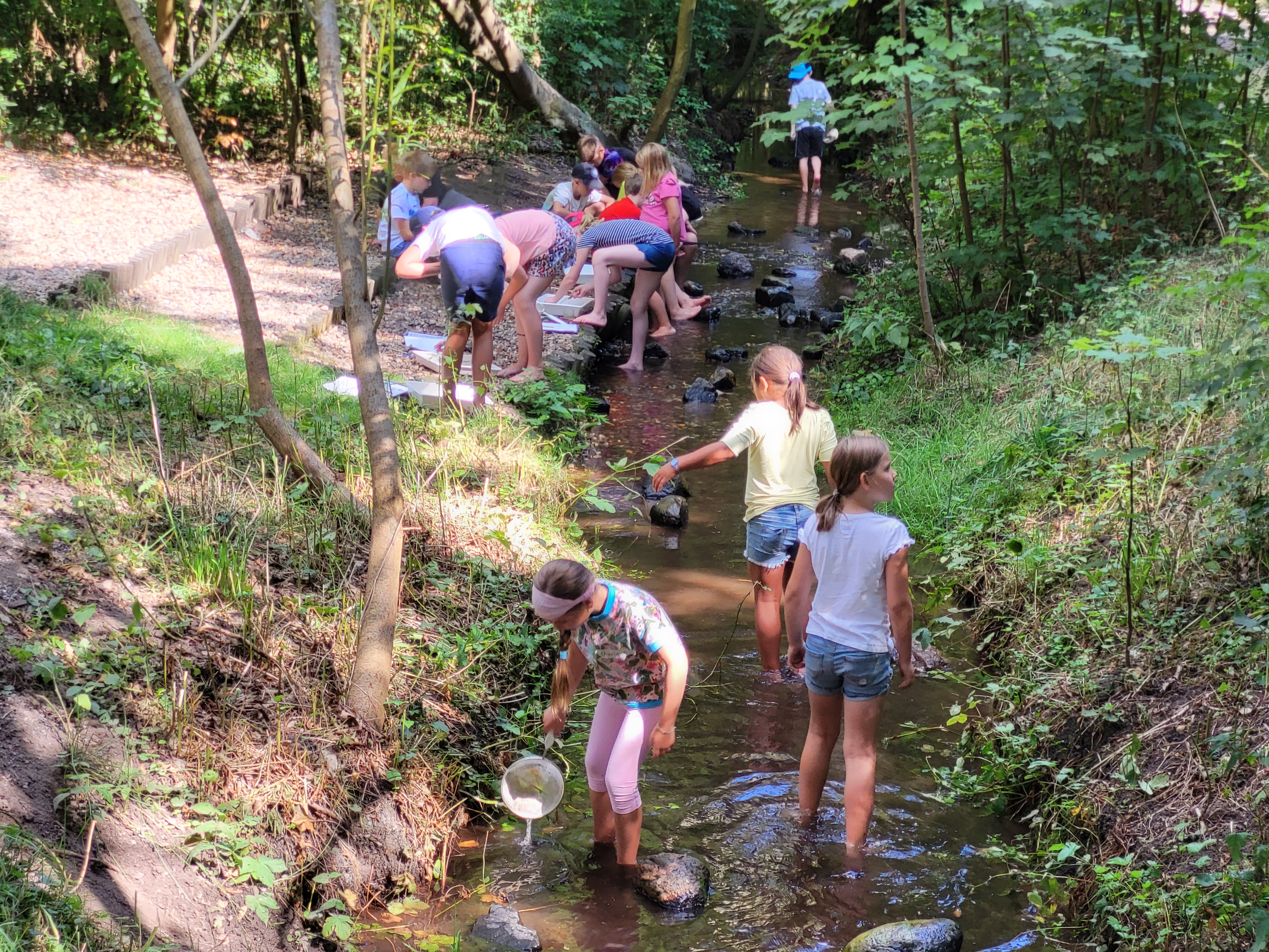 Der Otter-Bach ist ein vielfältiger Lebens- und Erlebnisraum.
