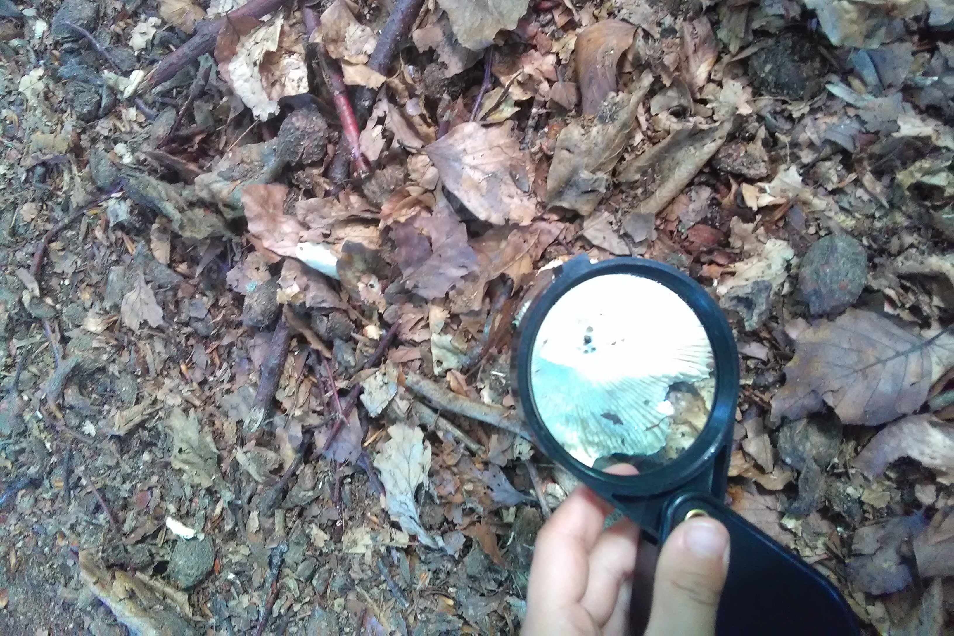 25-08-28 Dienstag_Tierspuren Verein Jordsand