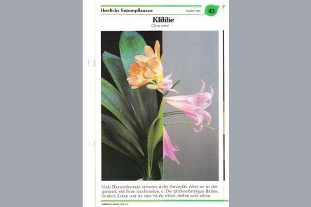 25-09-30 Lose Blätter aus dem Buch der Natur Erdmute Prautzsch