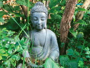 Yoga am Morgen in Cismar