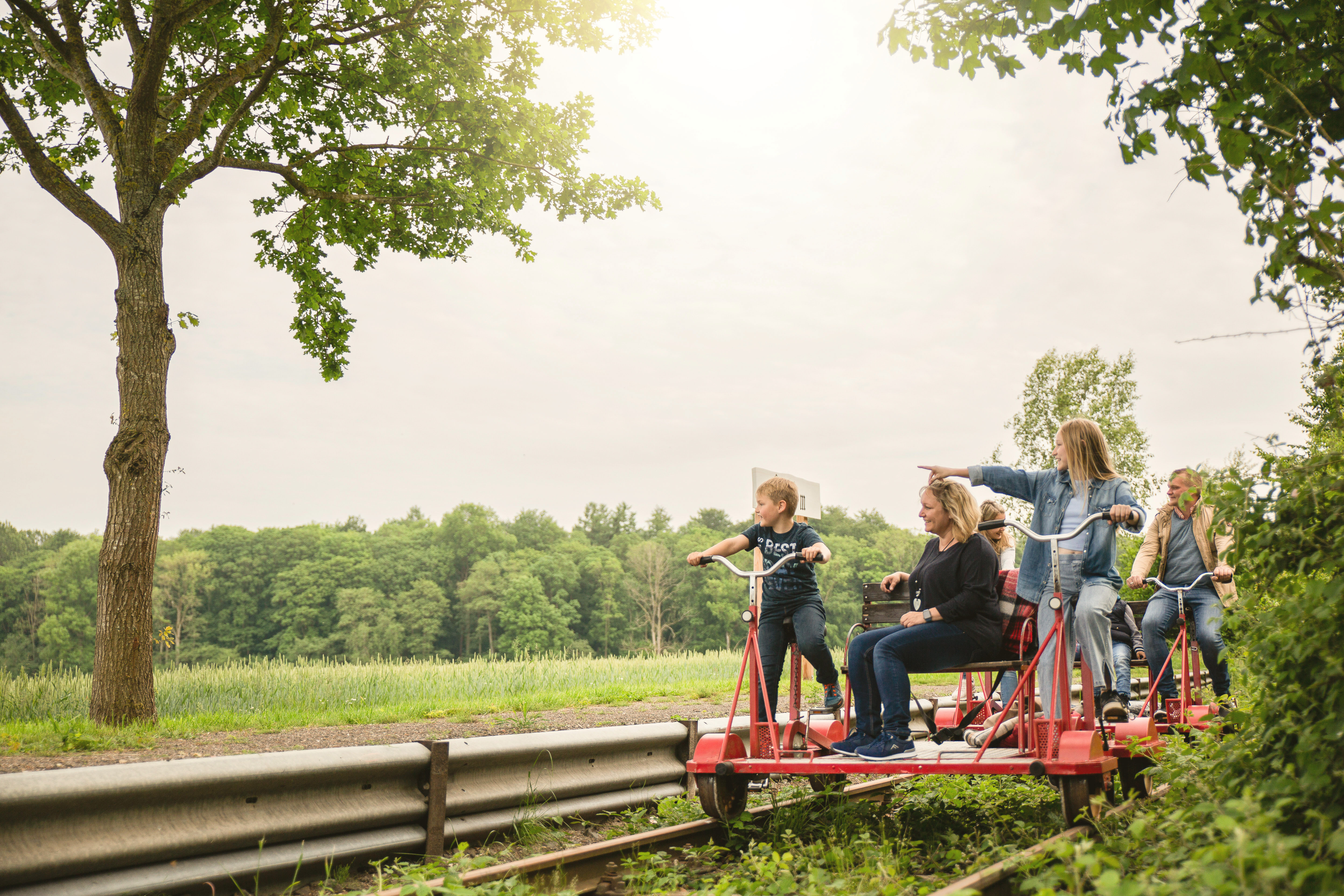 Rapsblütenfahrt der Naturpark-Draisine