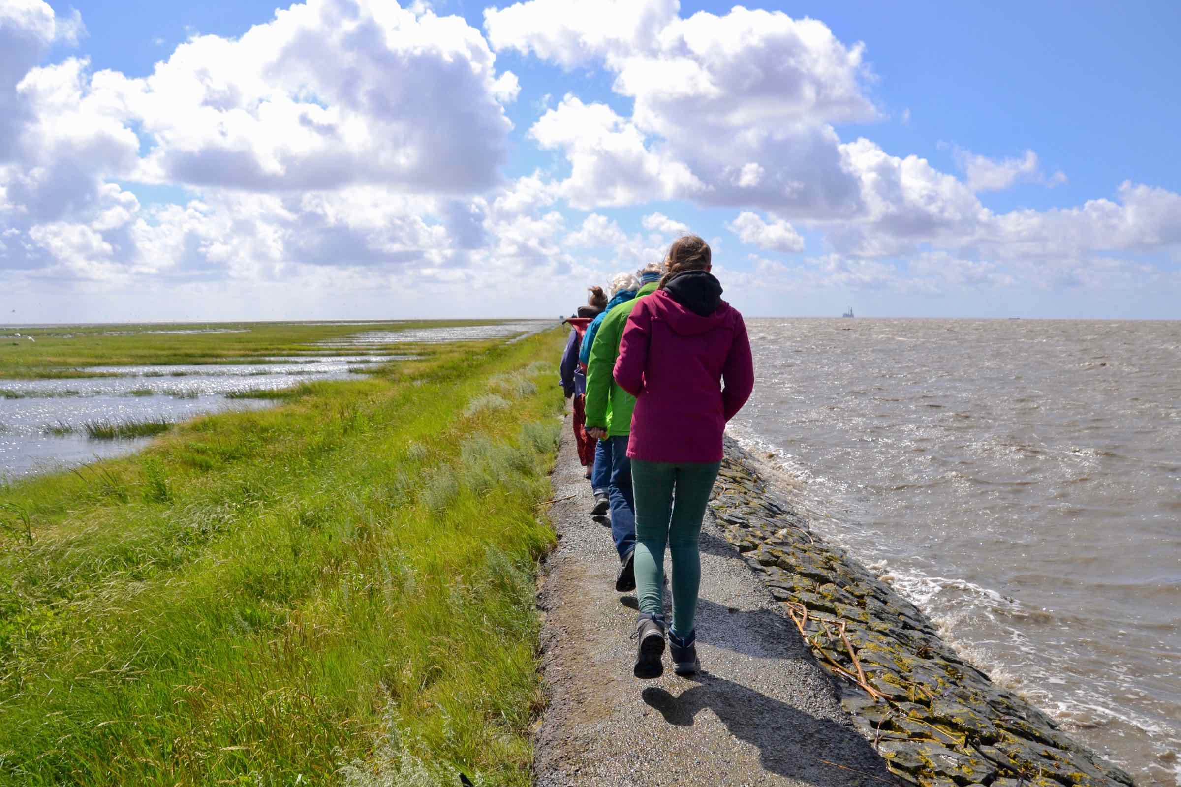 Auf dem Trischendamm durch das Weltnaturerbe Wattenmeer