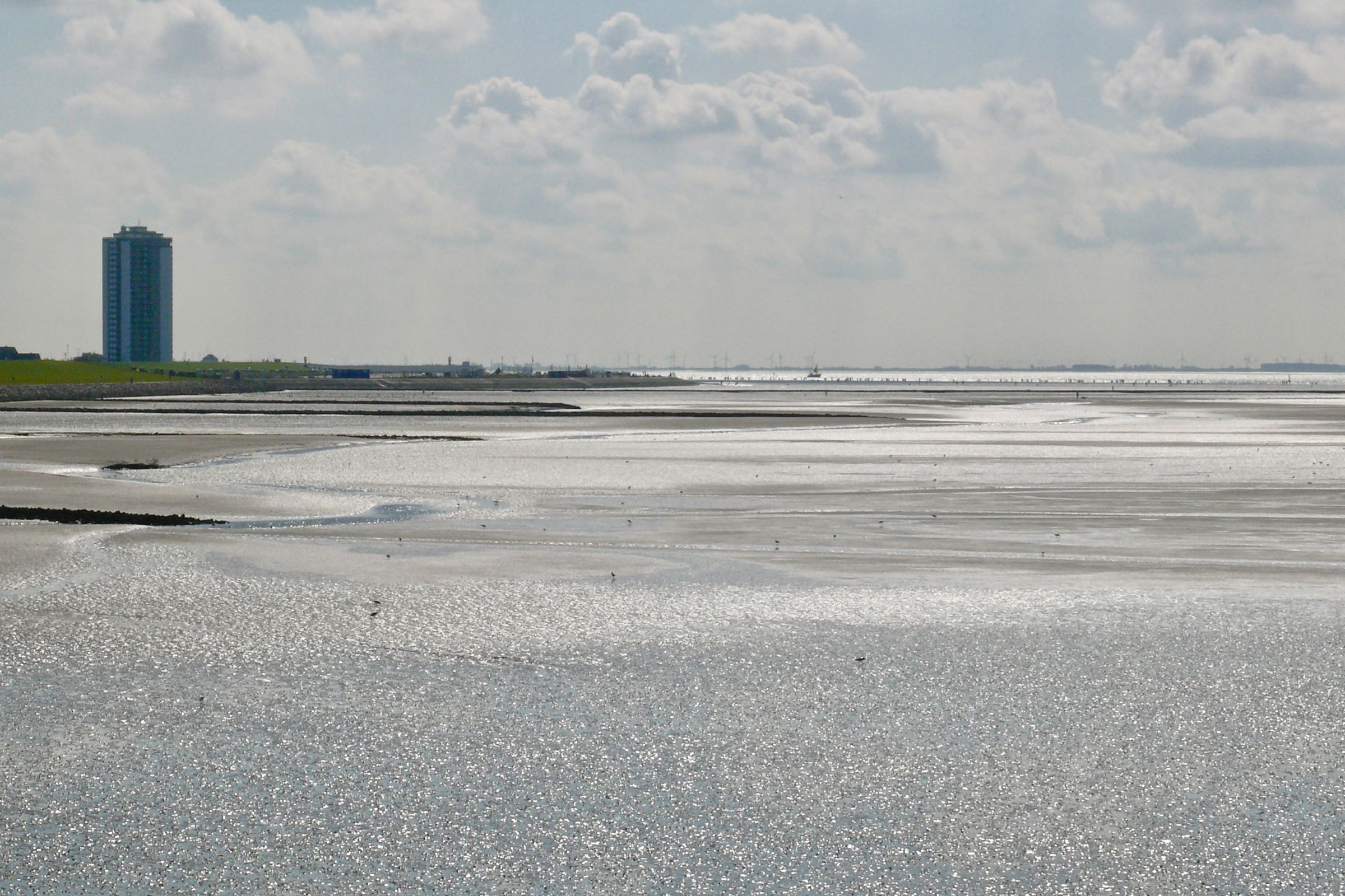 Lange Wattwanderung von Büsum bis Stinteck
