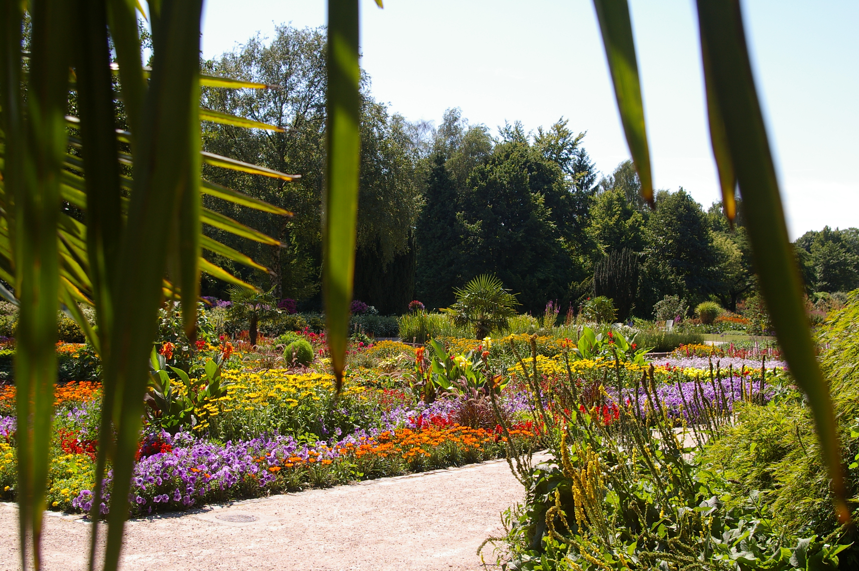 Botanischer Sondergarten Wandsbek