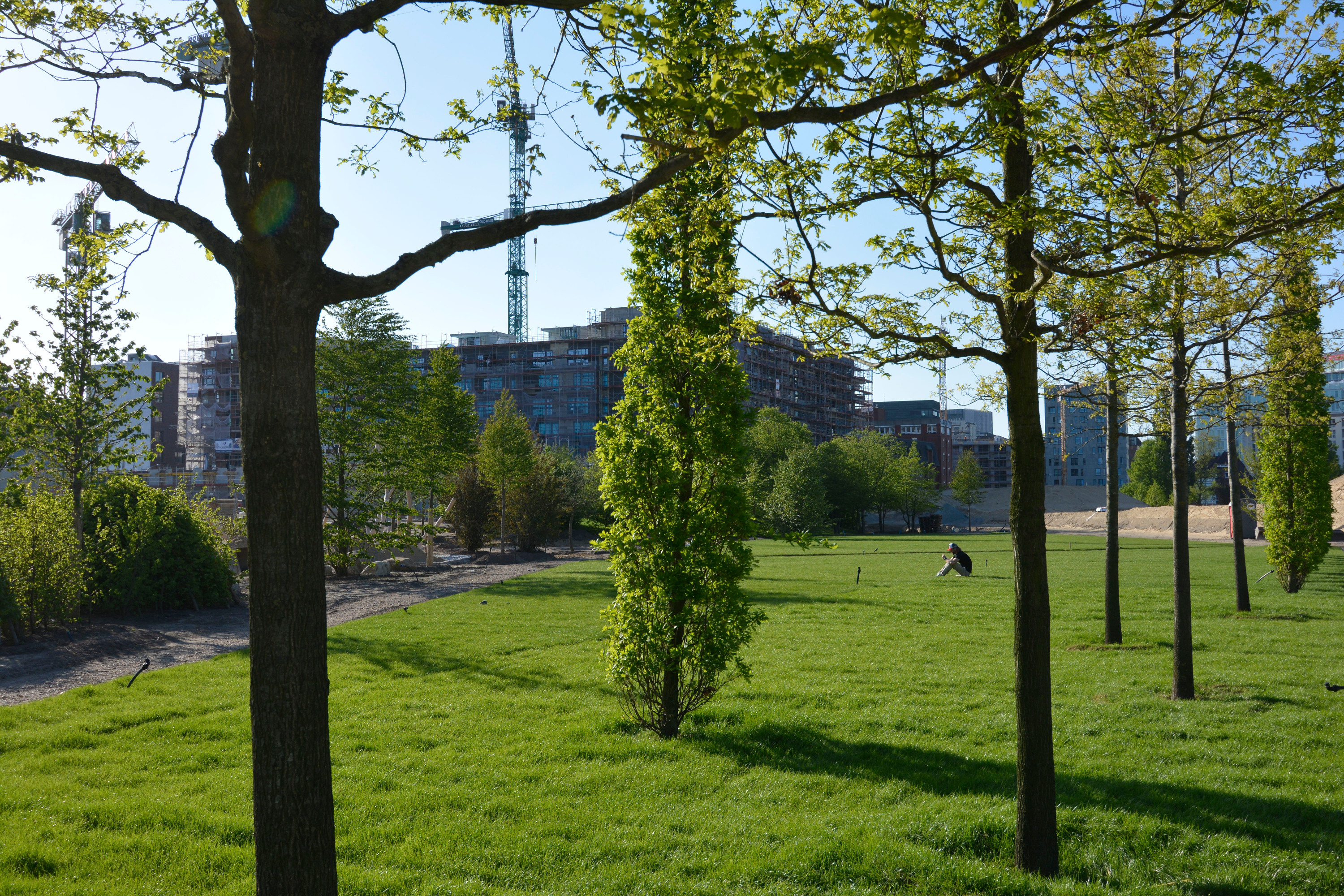 Lohsepark