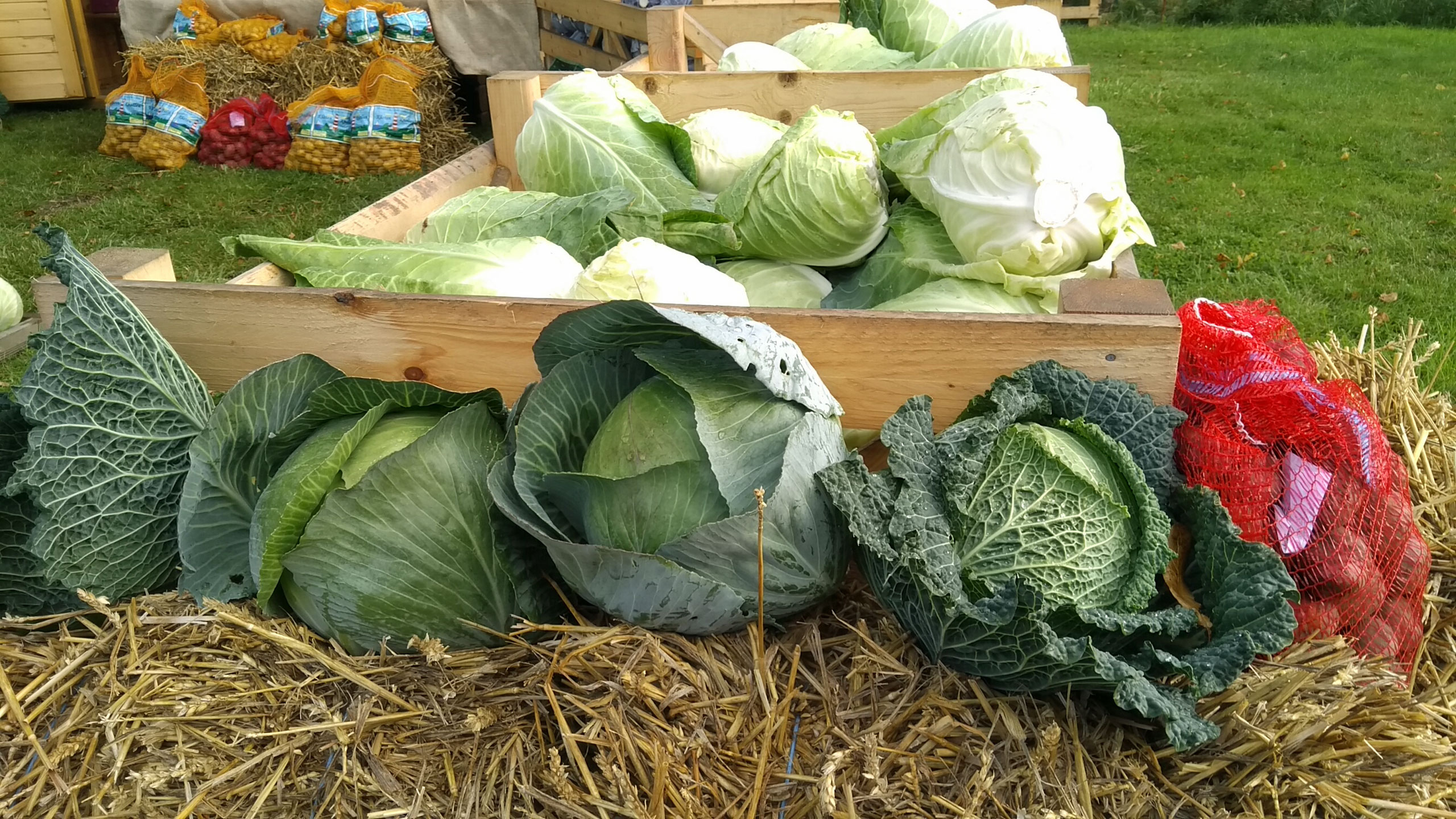 Wochenmarkt