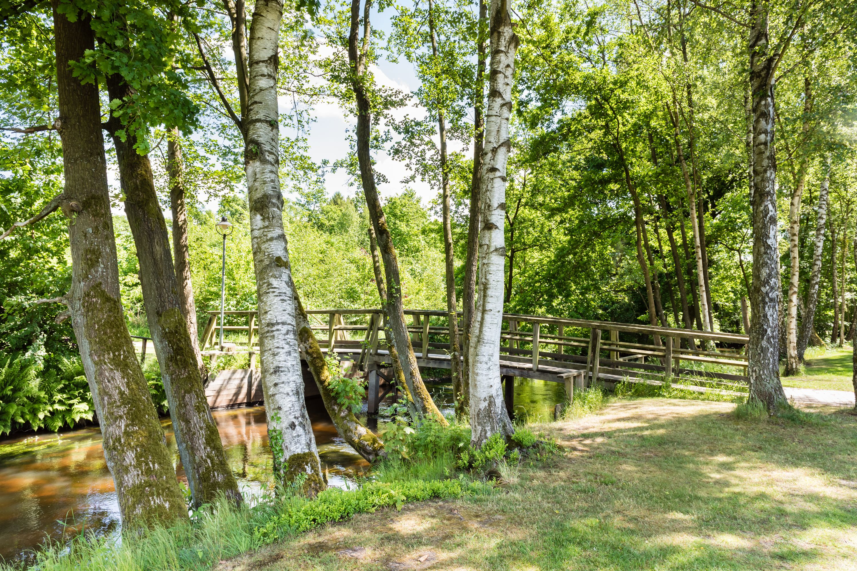 Über 7 Brücken durch das Urstromtal der Örtze