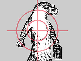 Otter-Abenteuer 23.07.2024