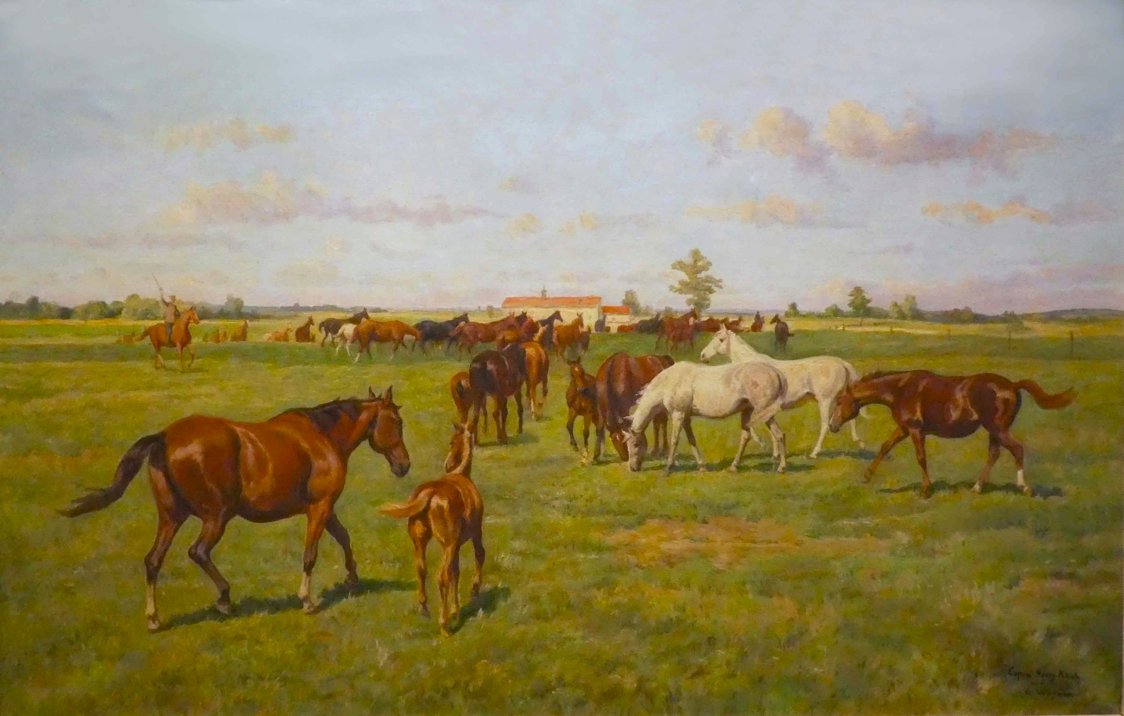 Gemischtfarbige Mutterstutenherde auf dem Vorwerk Bajohrgallen des Hauptgestüts Trakehnen, nach einem Gemälde von Georg Koch, um 1960