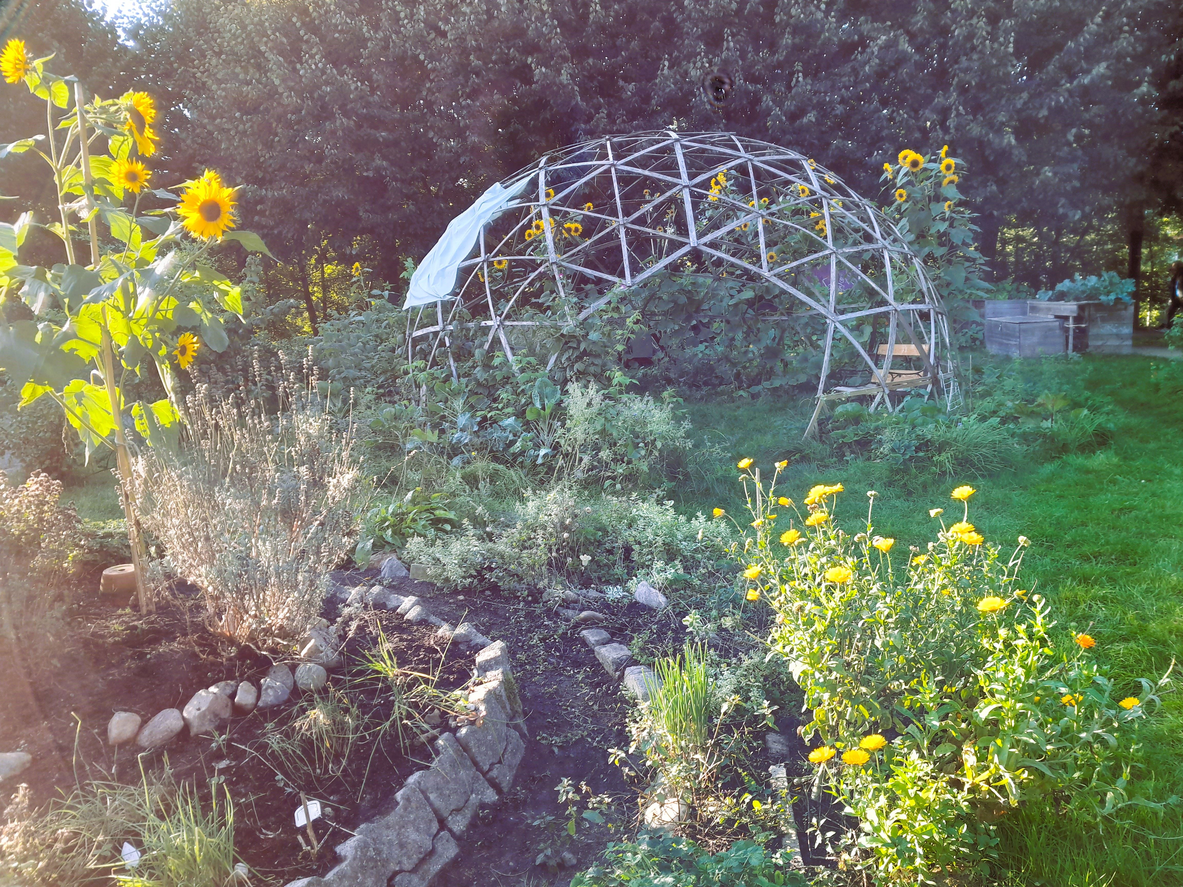 Schillergarten - Gemeinschaftsgarten Bergedorf im Wandel e.V.