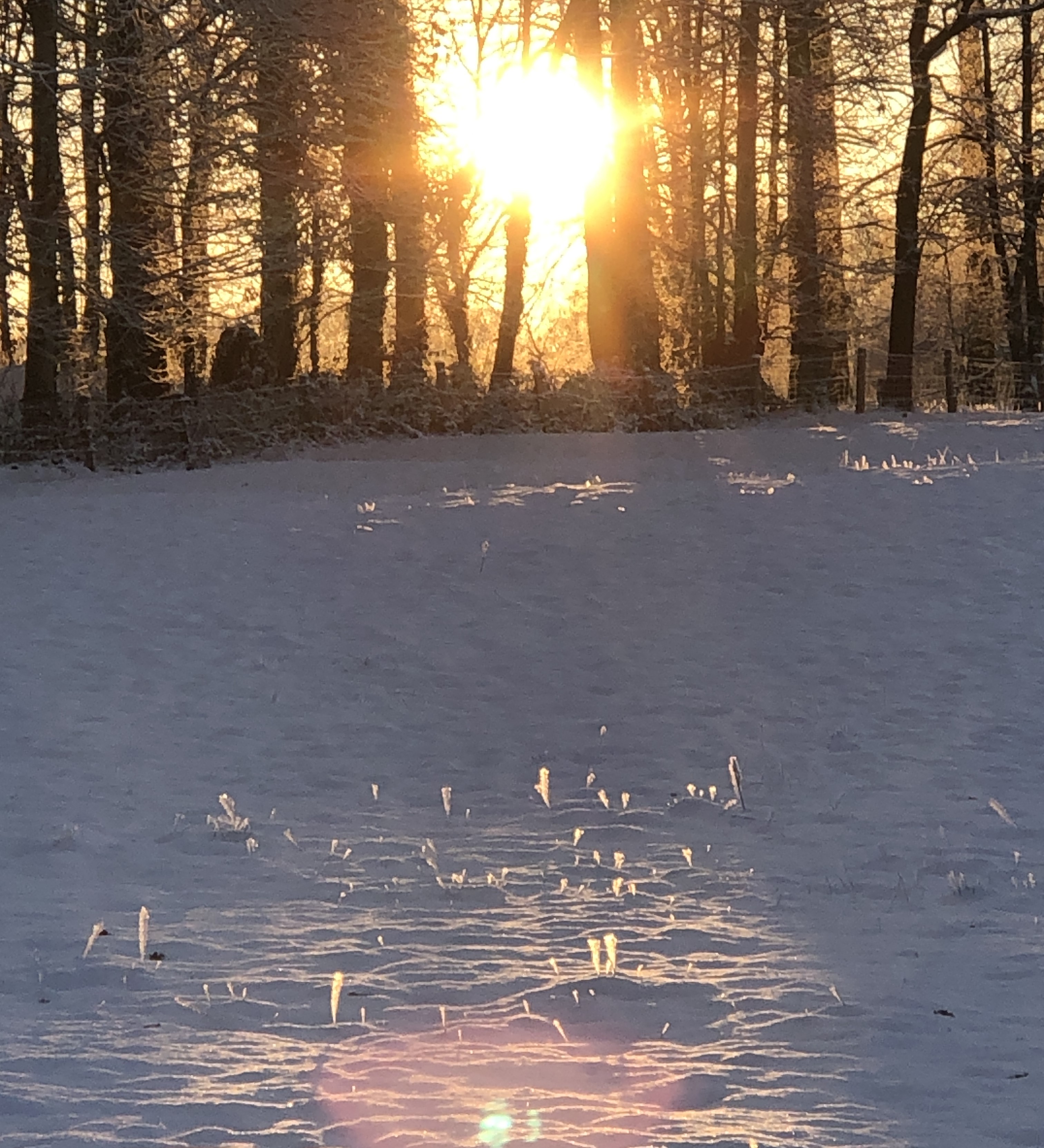 2024_12_24 Töns5 Weihnachten