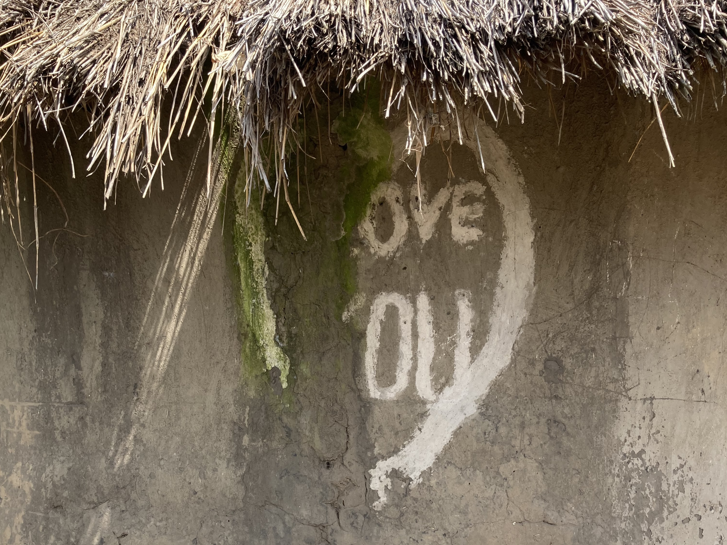 BildmotivPhilippSchulzLoveandCare211024_Ausschnitt_kl