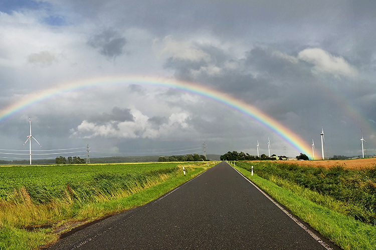 Somewhere under the Rainbow - Diana Westphalen, Fotografie