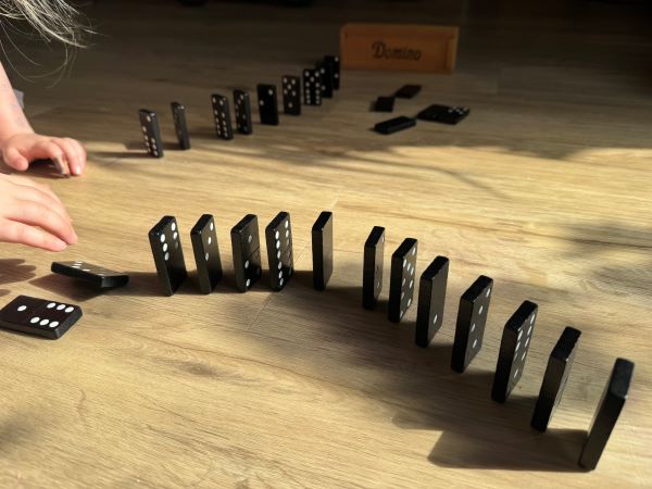 Domino600px