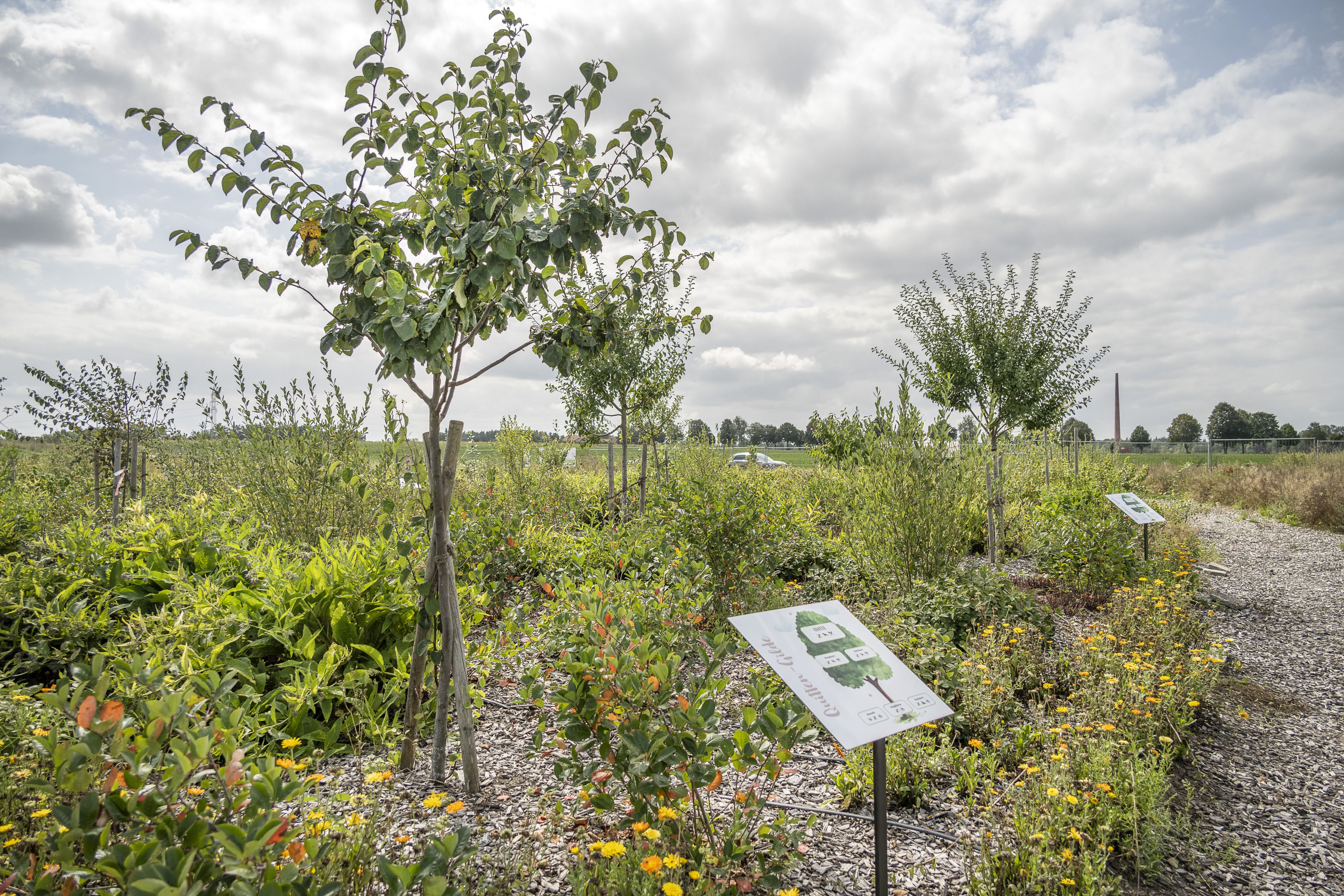 Hof an den Teichen_Waldgarten