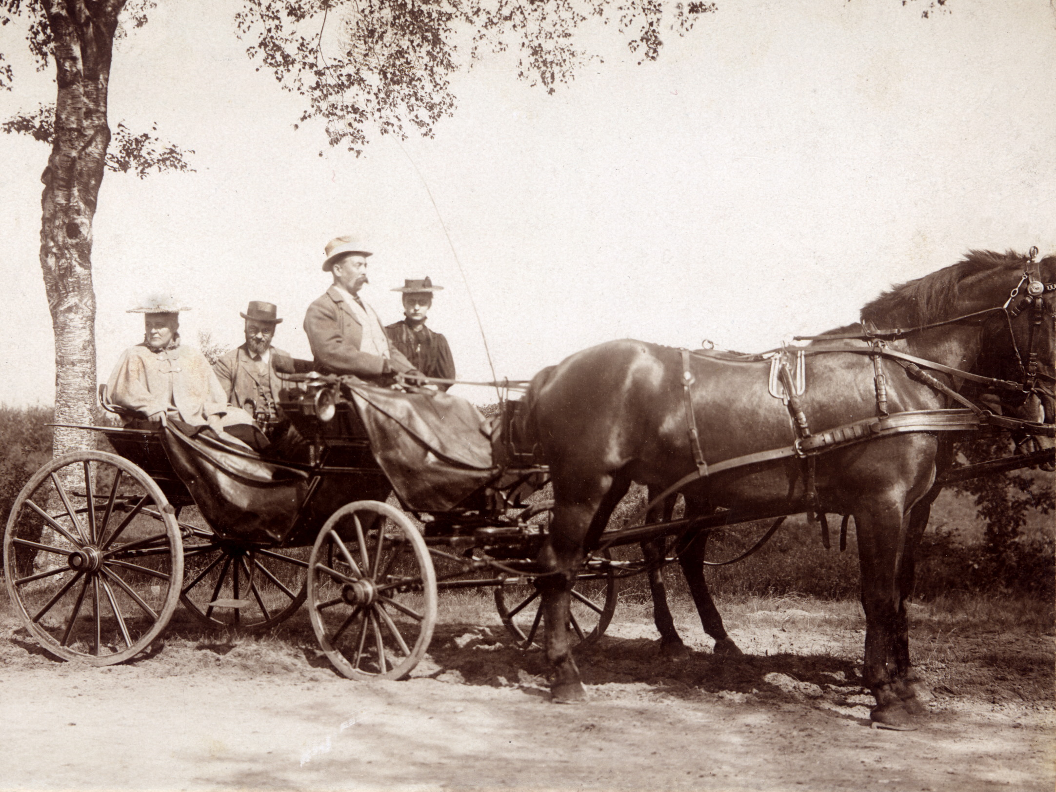 DVD Rotenburg Landr_Heitmann