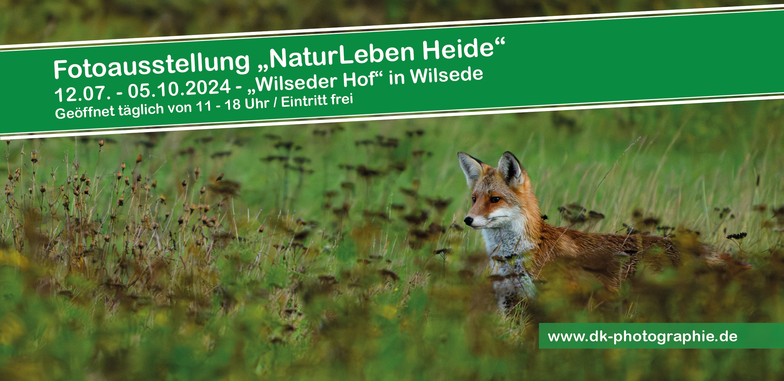 Flyer Wilseder Hof Ausstellung 2025 vorne