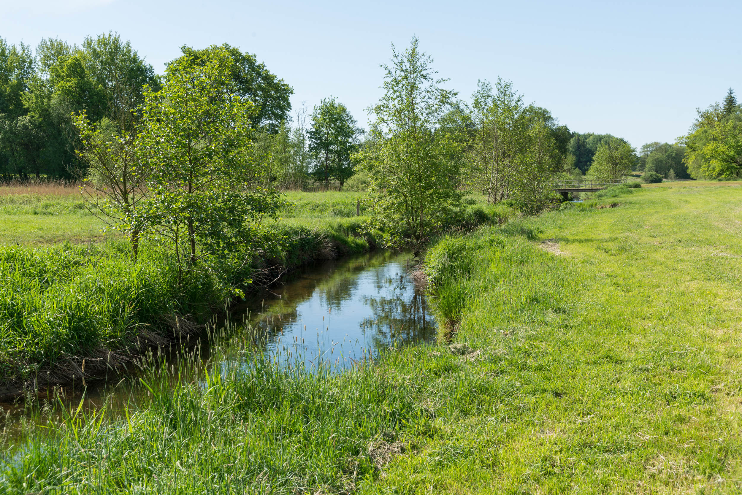 foto fuehrung rantzautal 2
