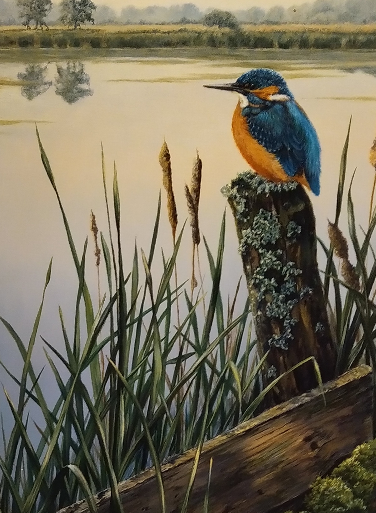 Eisvogel / Gemälde von Anne Nachtsheim