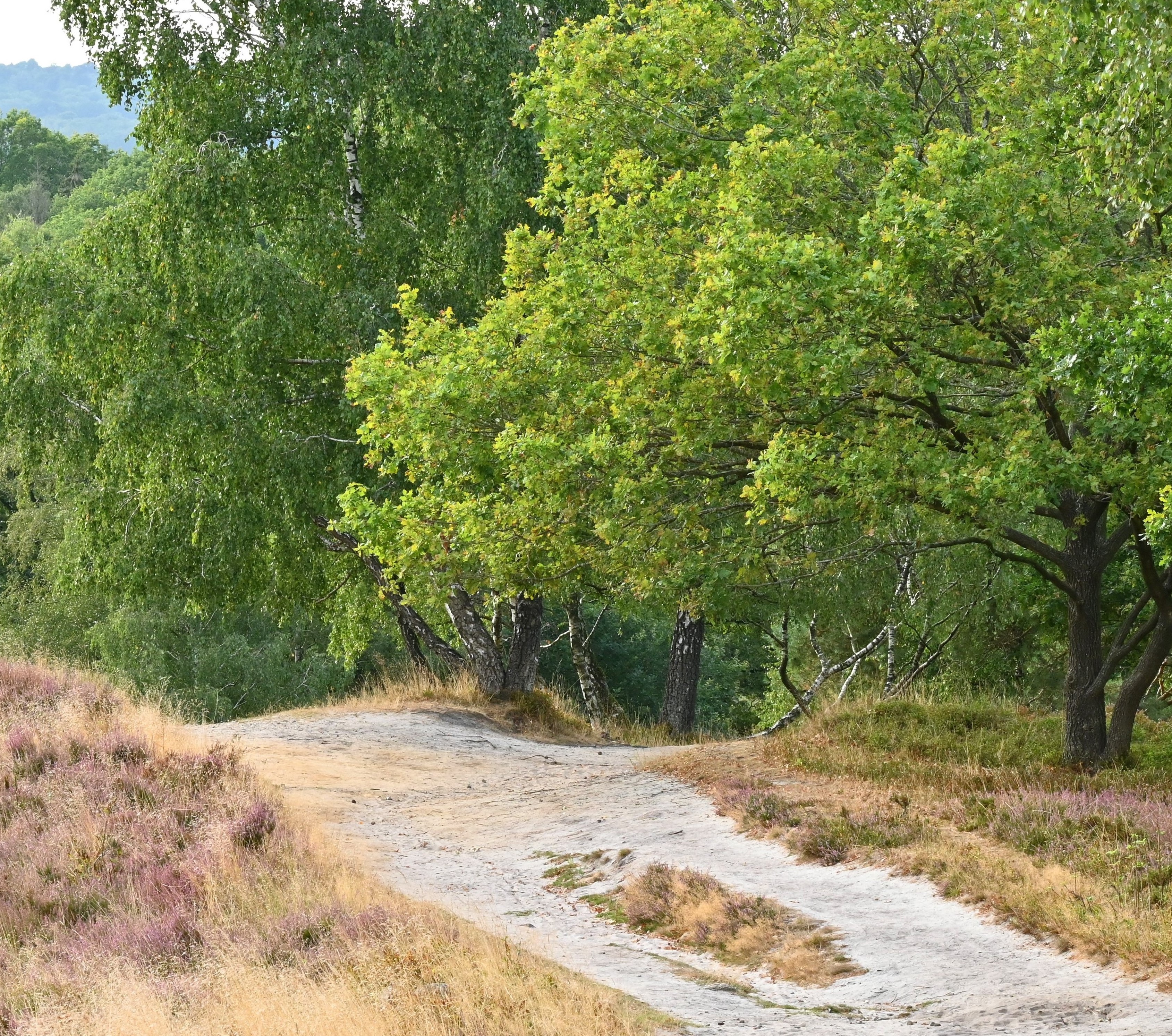 Landschaft Boxberg 2