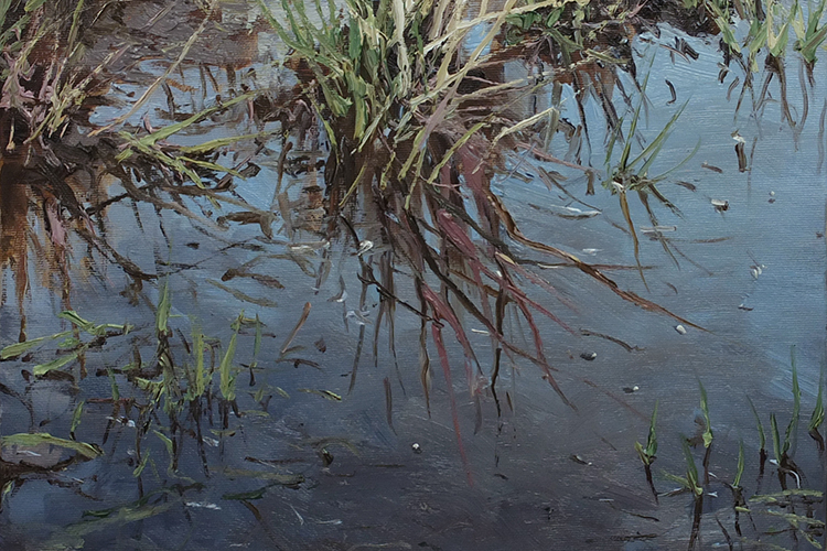 Stille Wasser