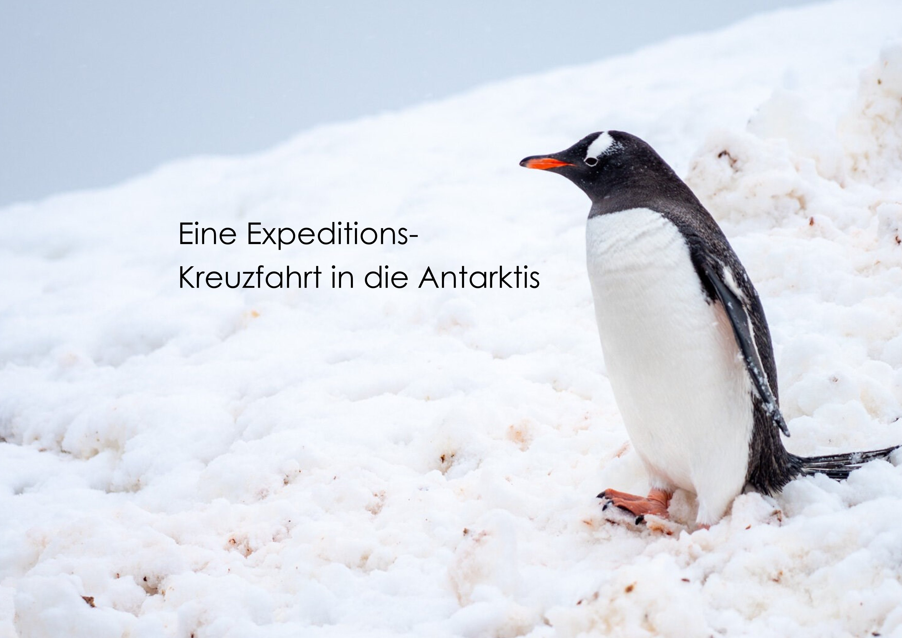 Poster Antarktis jpg 300 dpi