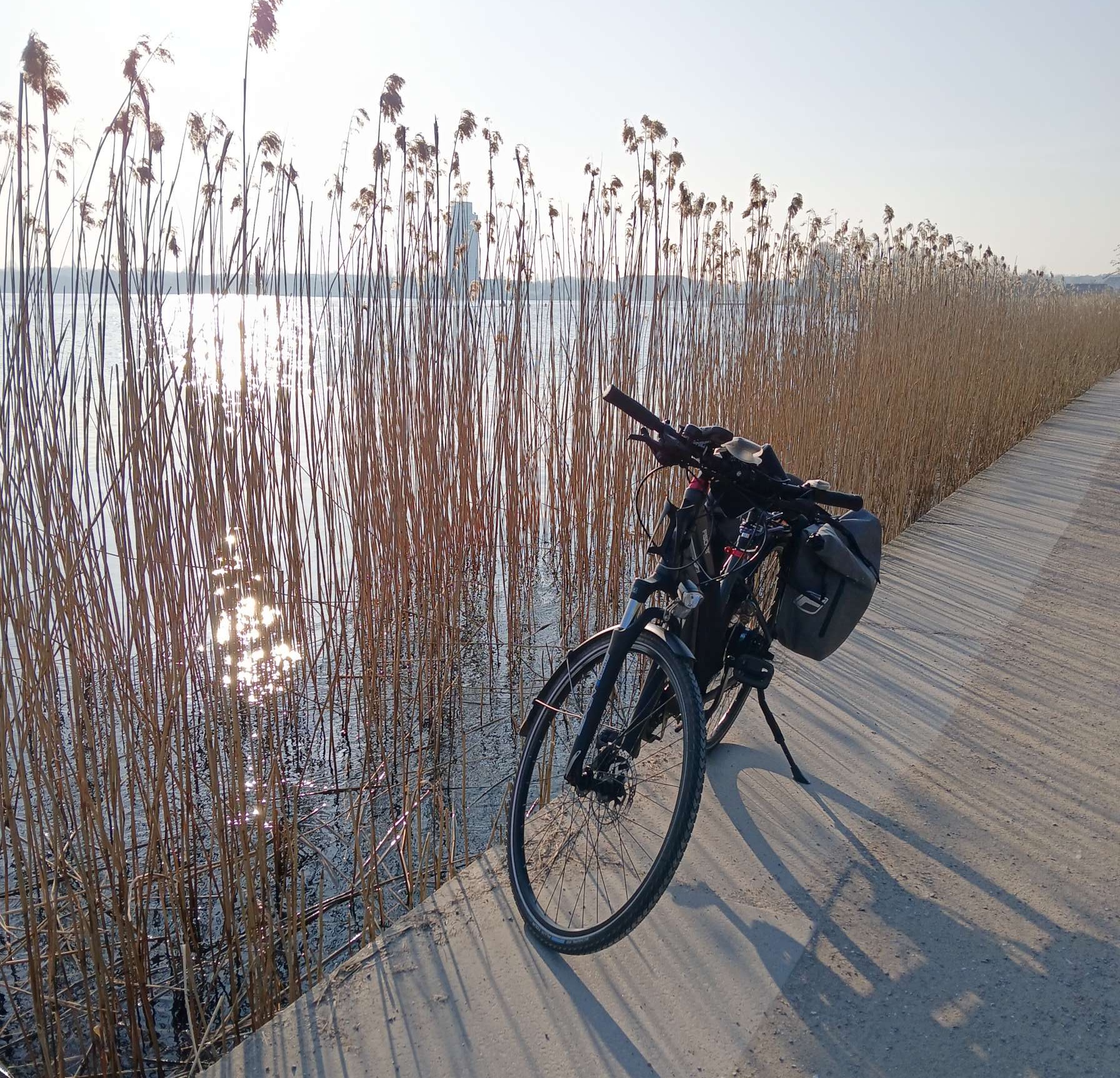 schlei
