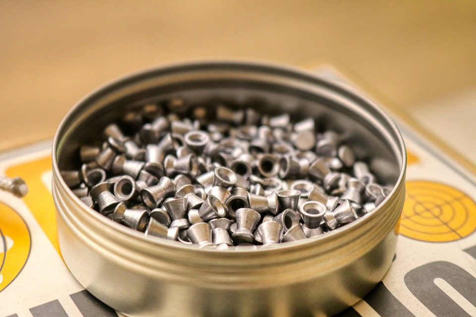 Pixabay_Alexander_Fox_planet_fox_shoot-4779210_960_720