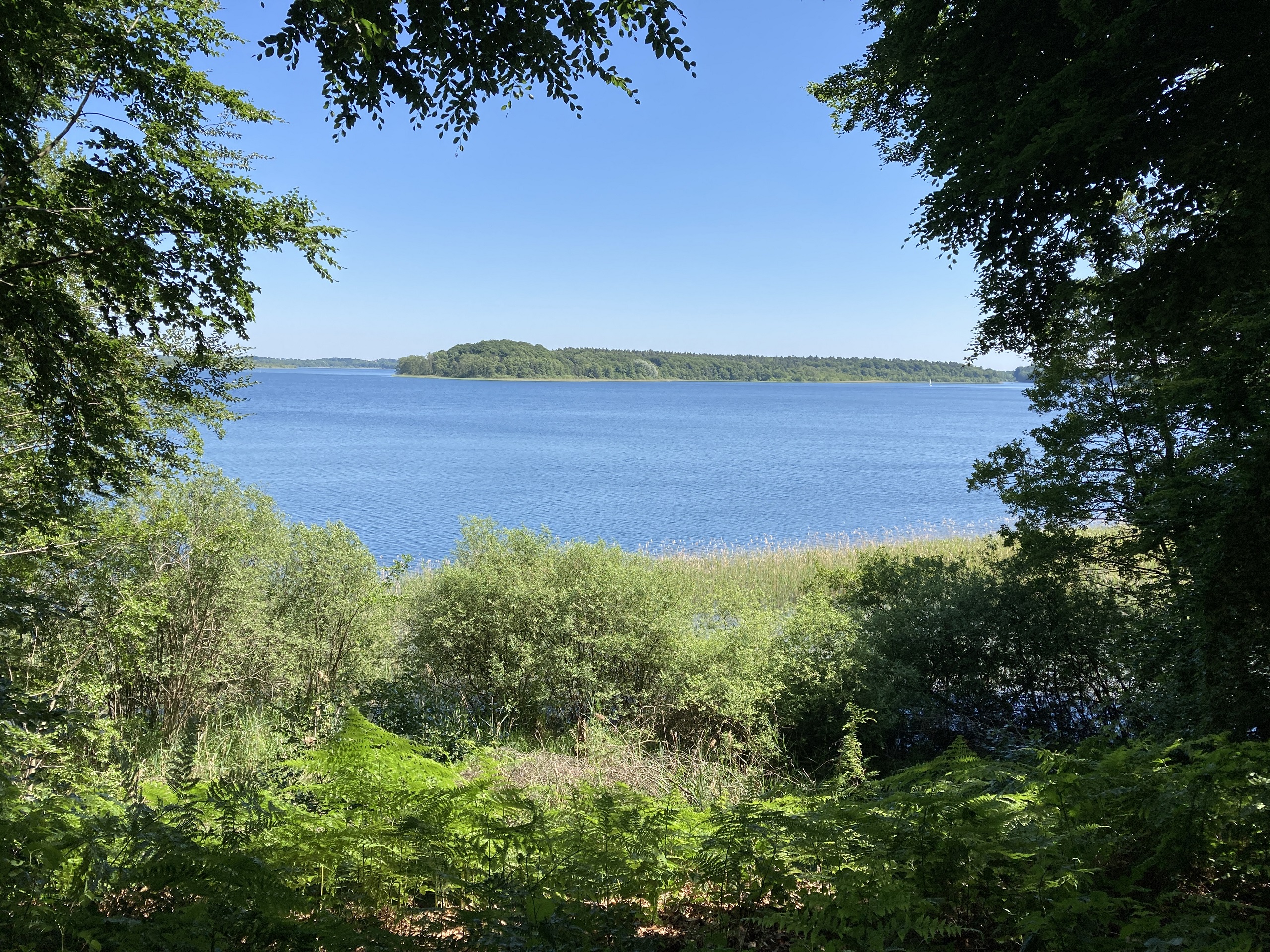 Naturpark-Tour: Unterwegs auf dem Seedorfer Werder am Schaalsee