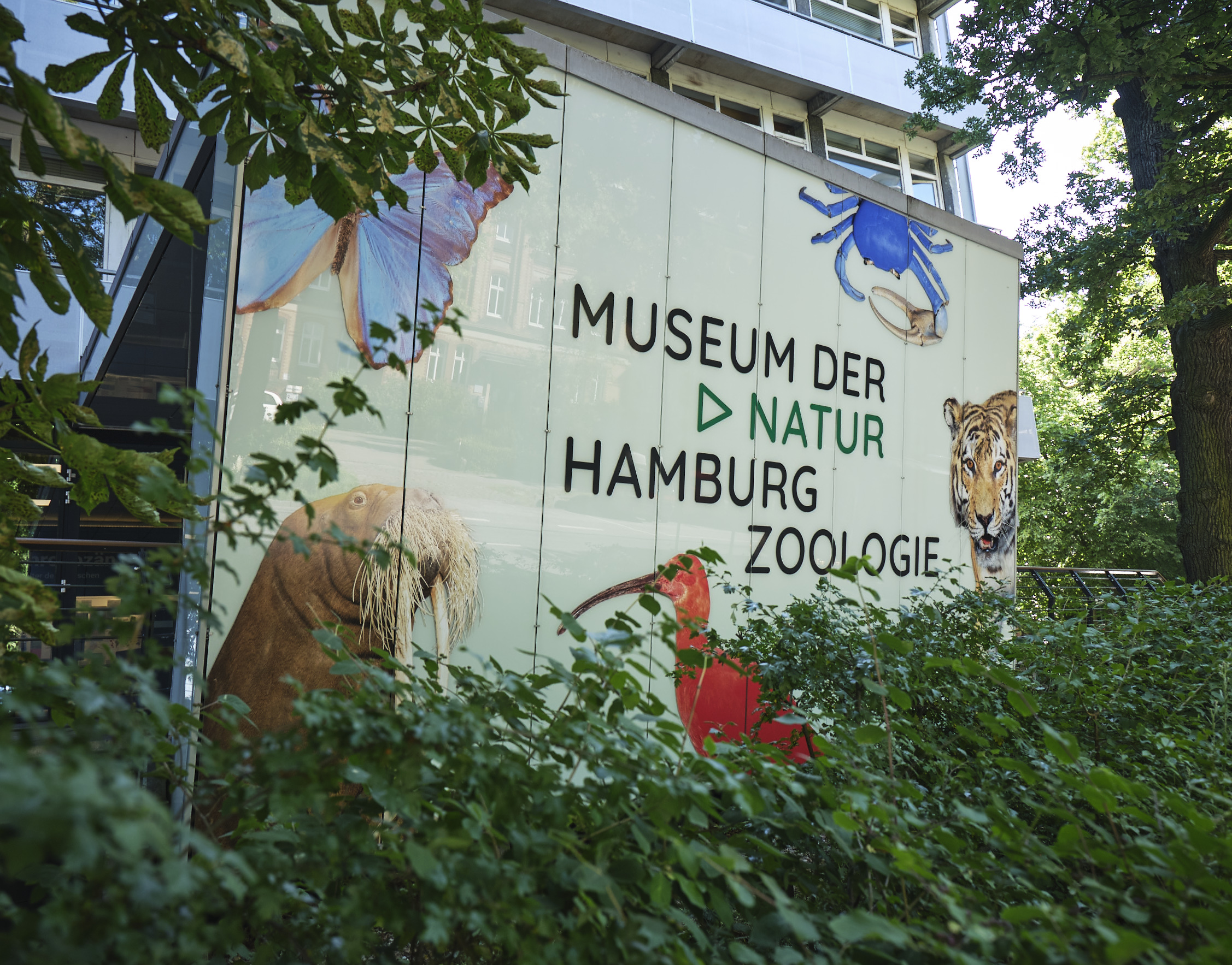 Museum of Natural History Hamburg – Zoology